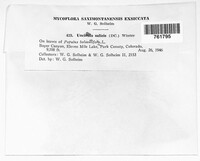 Image Associated With the Occurence